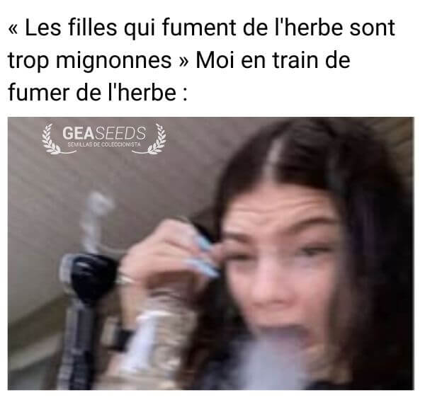 Mème drôle montrant la réalité quand une fille fume de l’herbe