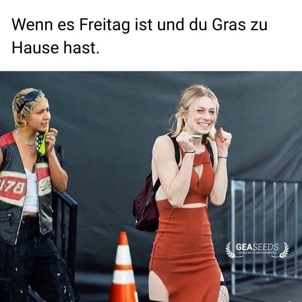 Lustiges Meme über die Freude, wenn Freitag ist und man Gras zu Hause hat