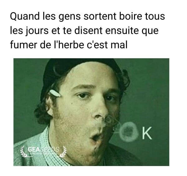 Mème humoristique d’un homme faisant un rond de fumée en réponse à une critique sur le cannabis