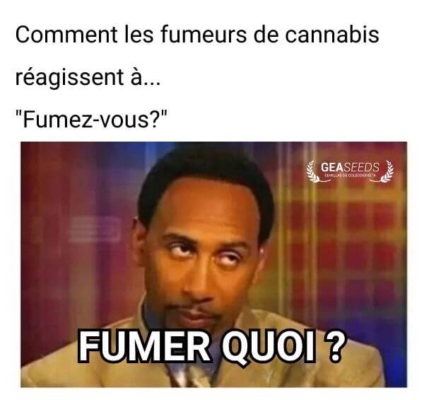 Mème humoristique sur la réaction d’un fumeur de cannabis quand on lui demande s’il fume