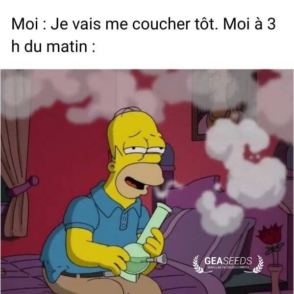 Mème drôle d’Homer Simpson fumant un bong à 3 heures du matin