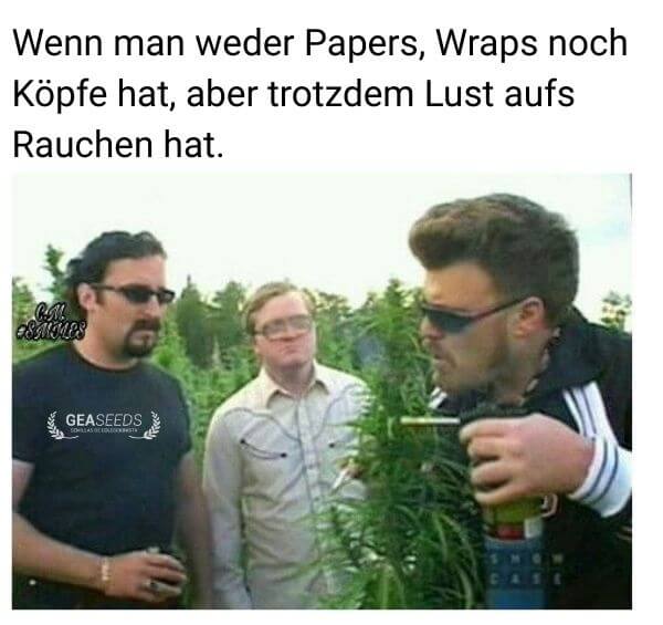 Lustiges Meme über Lust auf Rauchen ohne Papers oder Köpfe