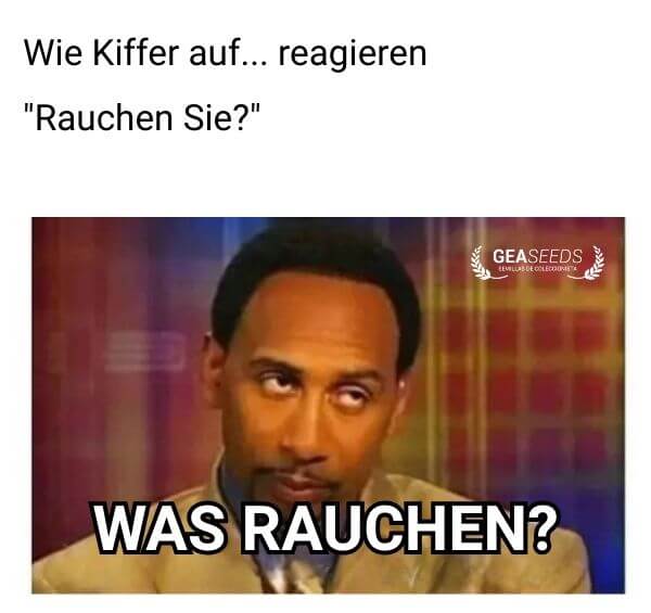 Lustiges Meme über die Reaktion eines Kiffers auf die Frage „Rauchen Sie?