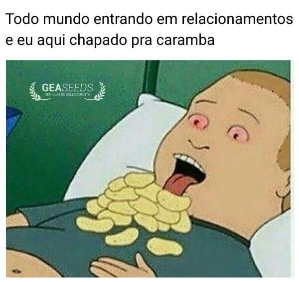 Meme engraçado de maconha sobre estar chapado enquanto todos entram em relacionamentos