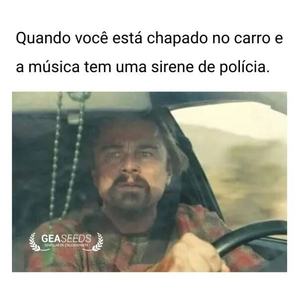 Meme engraçado de maconha quando você está chapado no carro e ouve uma sirene