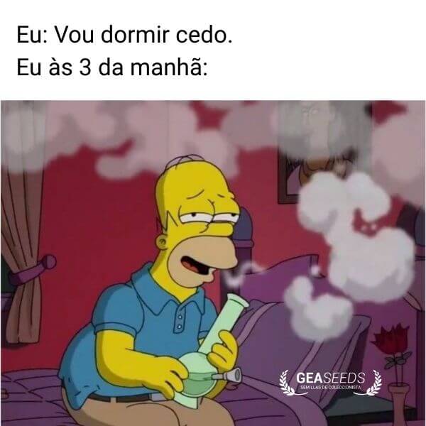 Meme engraçado de maconha sobre dizer que vai dormir cedo mas fumar às 3 da manhã