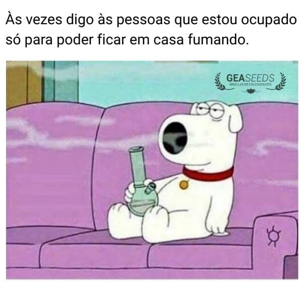 Meme engraçado de maconha sobre dizer que está ocupado para ficar em casa fumando