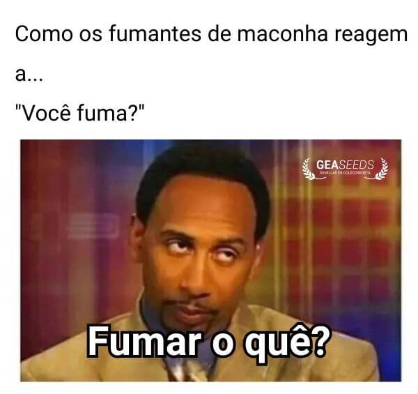 Meme engraçado de maconha quando perguntam se você fuma