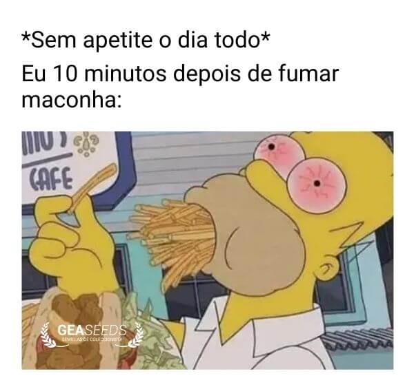 Meme engraçado de maconha sobre larica depois de fumar