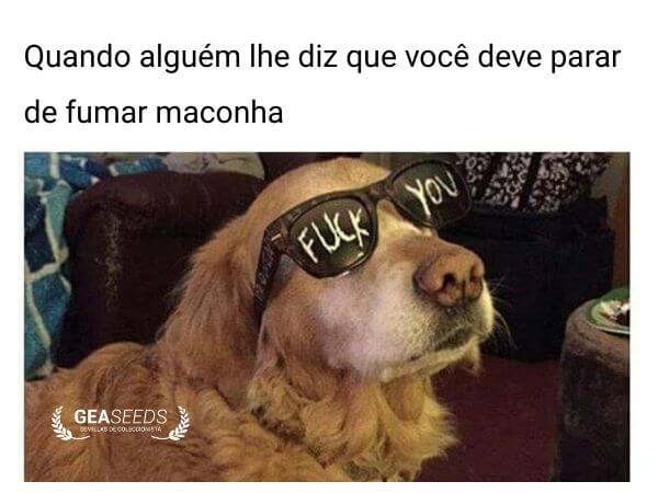 Meme engraçado de maconha quando alguém diz para parar de fumar