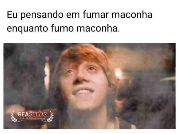 Meme engraçado de maconha pensando em fumar enquanto já está fumando