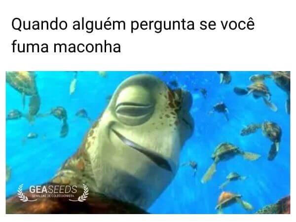 Meme de maconha engraçado quando alguém pergunta se você fuma
