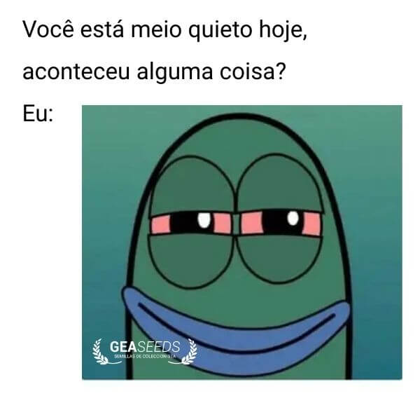 Meme engraçado de maconha sobre estar quieto porque está chapado