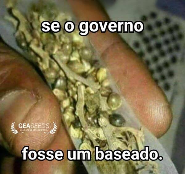 Meme engraçado de maconha comparando o governo a um baseado