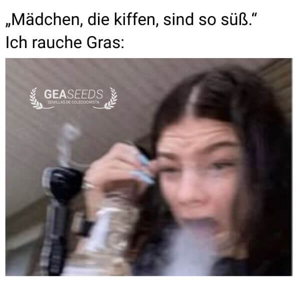 Lustiges Meme über die Realität, wenn man Gras raucht und stark husten muss