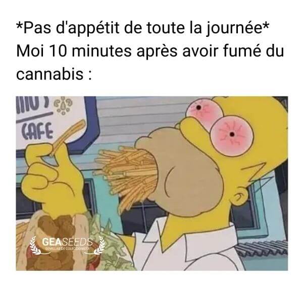 Mème d’Homer Simpson mangeant énormément après avoir fumé du cannabis