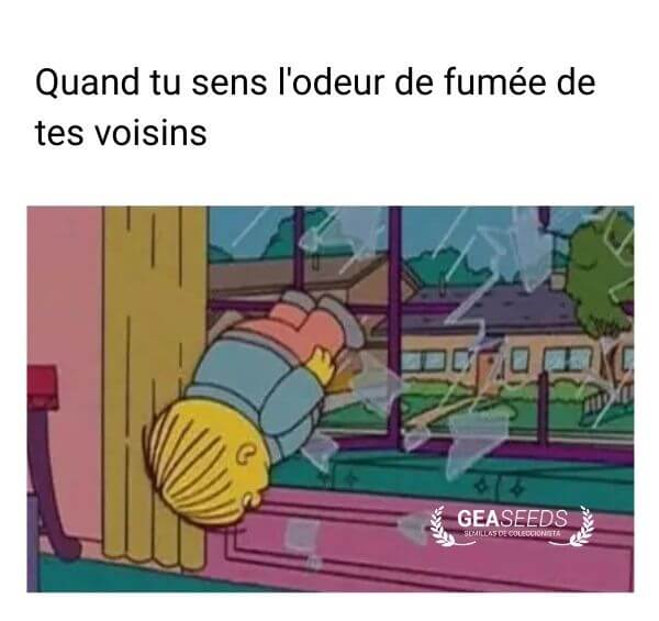 Mème drôle des Simpson regardant par la fenêtre après avoir senti l’odeur de fumée