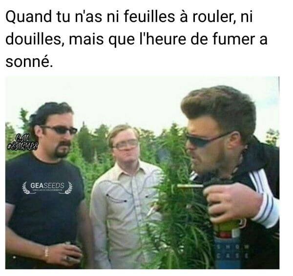 Mème drôle sur ne pas avoir de feuilles ni de douilles quand l’heure de fumer est arrivée