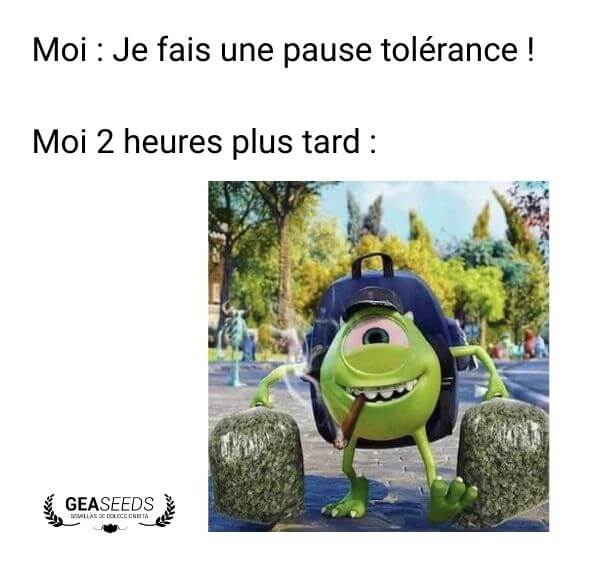 Mème drôle sur la pause tolérance qui ne dure que deux heures
