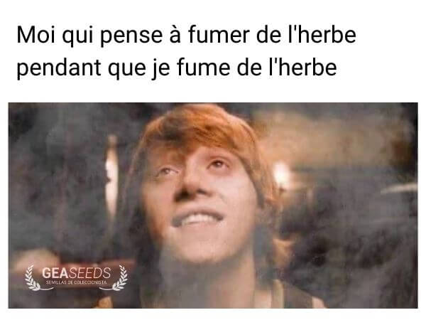 Mème drôle sur penser à fumer de l’herbe pendant qu’on fume déjà de l’herbe