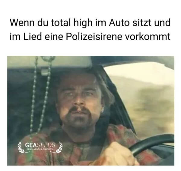 Lustiges Meme über eine Polizeisirene im Lied, während man high im Auto sitzt