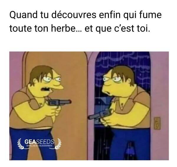 Mème drôle des Simpson découvrant que la personne qui fume toute l’herbe c’est soi-même