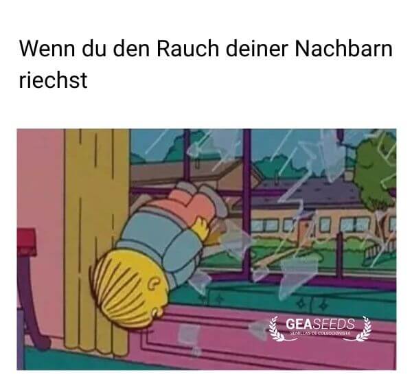 Lustiges Meme aus den Simpsons, in dem jemand aus dem Fenster schaut, weil er Rauch von den Nachbarn riecht