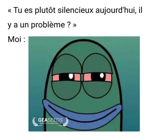 Mème drôle d’un personnage aux yeux rouges quand on lui demande pourquoi il est silencieux