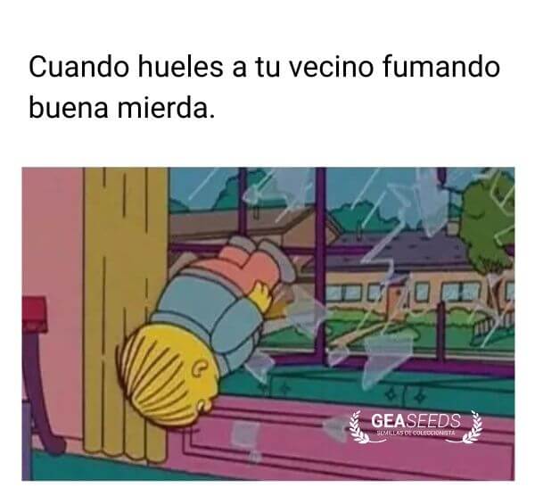 El niño tonto de los Simpson tirándose por la ventana