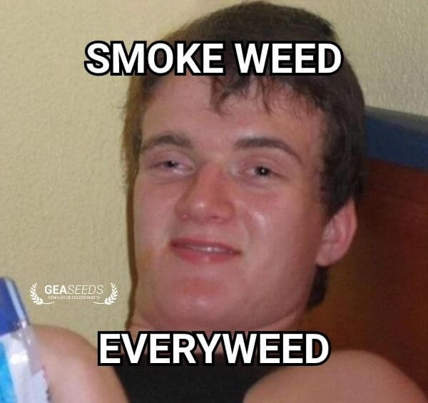 Lustiges Meme mit dem Wortspiel Smoke Weed Everyweed