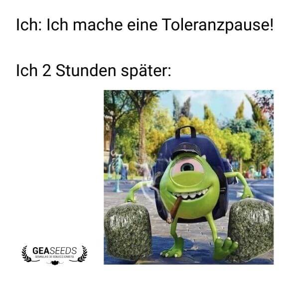 Lustiges Meme über eine Toleranzpause beim Kiffen, die nur zwei Stunden dauert