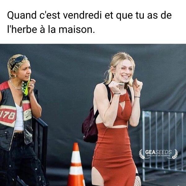 Mème drôle montrant une femme très heureuse car c’est vendredi et qu’il y a de l’herbe à la maison
