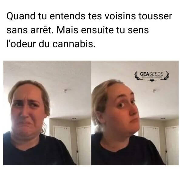 Mème drôle sur entendre ses voisins tousser puis sentir l’odeur du cannabis