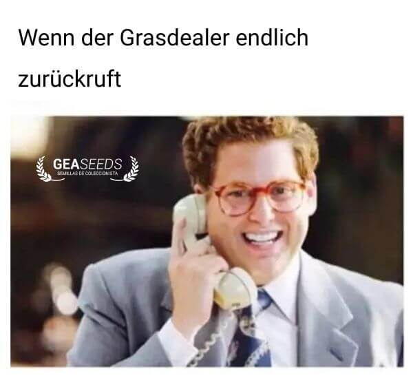 Lustiges Meme über die Freude, wenn der Grasdealer endlich zurückruft