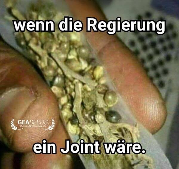 Lustiges Meme mit einem Joint voller Samen als Vergleich mit der Regierung