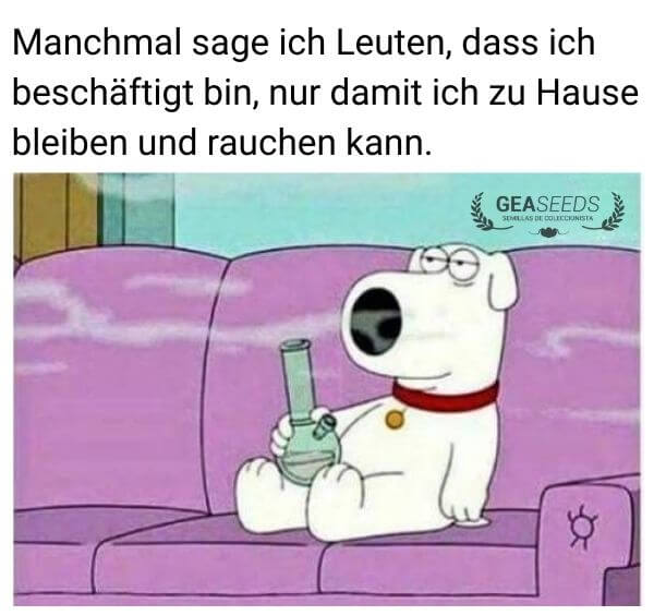 Lustiges Meme mit Brian von Family Guy, der entspannt auf dem Sofa raucht