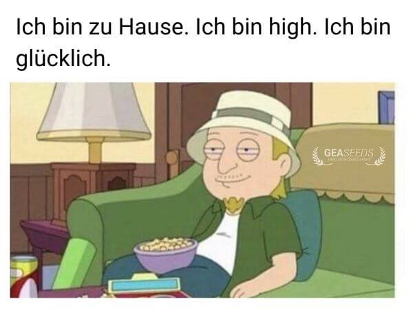 Lustiges Meme mit einer entspannten Cartoonfigur auf dem Sofa, high und glücklich zu Hause