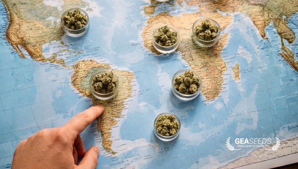 Mapa mundial con tarros de marihuana sobre los diferentes continentes