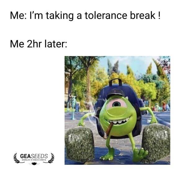 Funny weed meme about failing a tolerance break after two hours