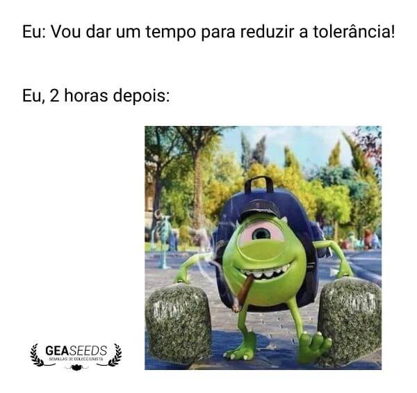 Meme engraçado de maconha sobre pausa de tolerância que dura duas horas