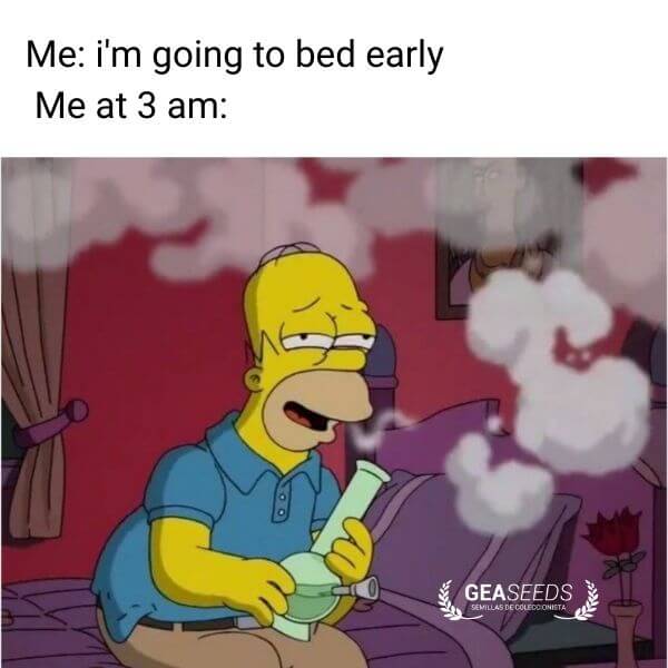 Funny weed meme about saying you will go to bed early but smoking at 3 am