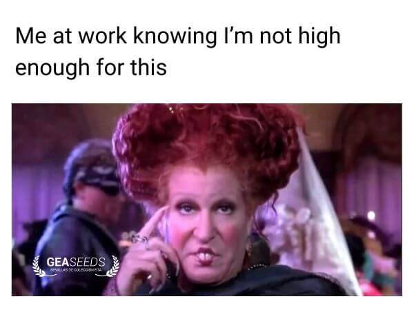 Funny weed meme about being at work and not high enough for it