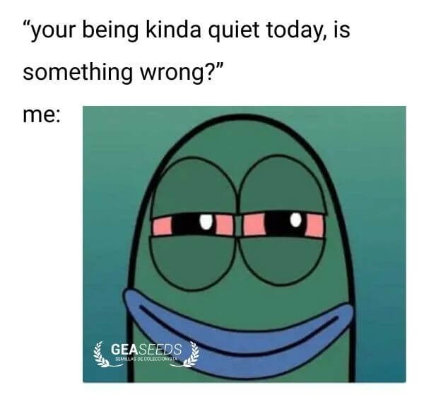 Funny weed meme about being quiet because you're high