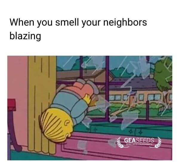 Funny weed meme about smelling neighbors smoking weed