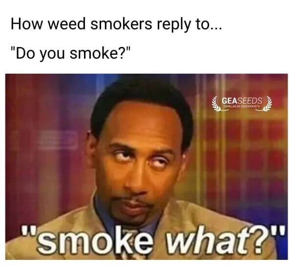 Funny weed meme about how weed smokers reply when asked if they smoke