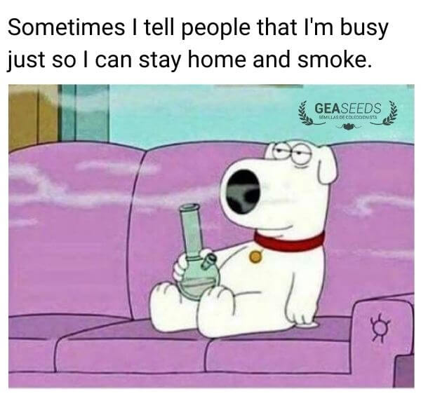 Funny weed meme about telling people you're busy just to stay home and smoke