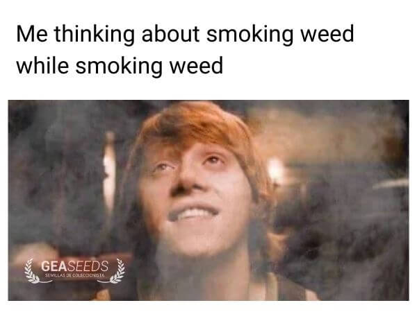 Funny weed meme about thinking about smoking weed while smoking