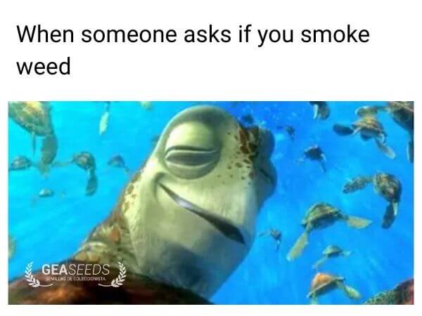 Funny weed meme reaction when someone asks if you smoke weed