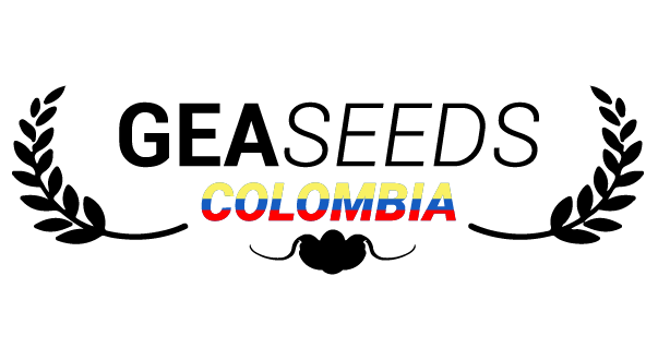 GeaSeedsColombia GeaSeedsColombia