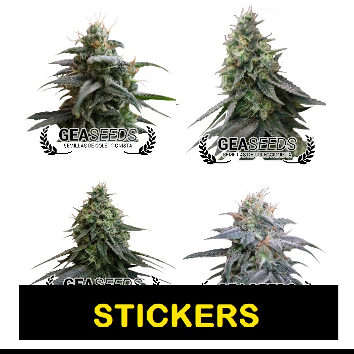 STICKERS WEED